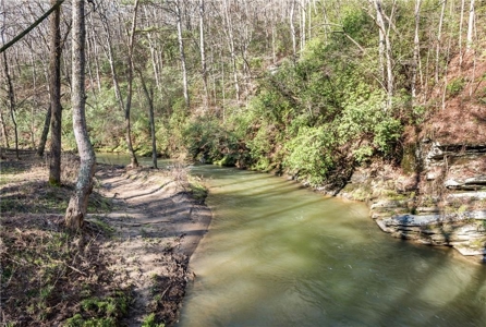 Country Home for sale in Pickens County - image 4