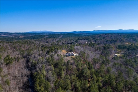 Country Home for sale in Pickens County - image 32