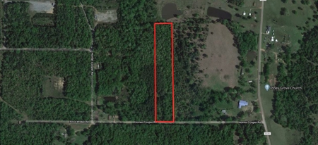 Marshall TX Land For Sale Harrison County - image 5