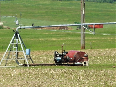 Rock County Nebraska Pivot Irrigated Farm For Sale - image 4