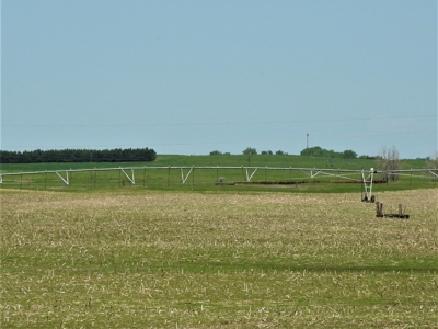 Rock County Nebraska Pivot Irrigated Farm For Sale - image 8