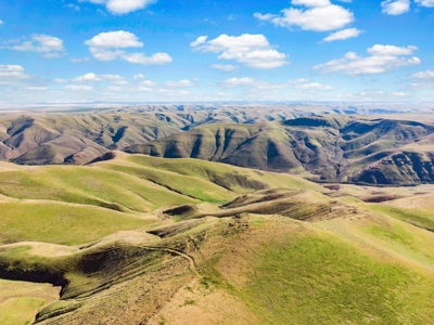 Cattle Ranch For Sale in Washington State - image 43