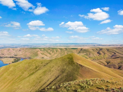 Cattle Ranch For Sale in Washington State - image 9