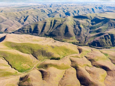 Cattle Ranch For Sale in Washington State - image 44