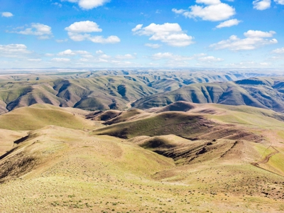 Cattle Ranch For Sale in Washington State - image 42