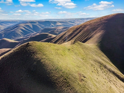 Cattle Ranch For Sale in Washington State - image 20