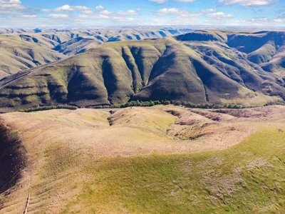 Cattle Ranch For Sale in Washington State - image 49