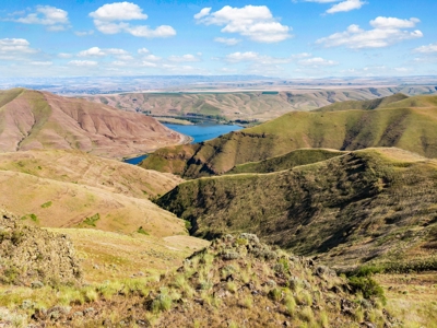 Cattle Ranch For Sale in Washington State - image 41