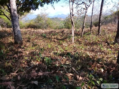 Lot For Sale In El Espino San Carlos Panama - image 7