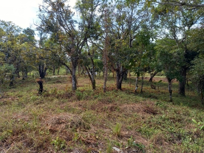 Lot For Sale In El Espino San Carlos Panama - image 20
