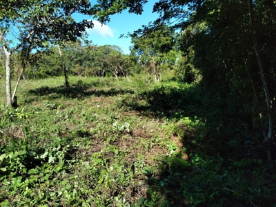 Lot For Sale In El Espino San Carlos Panama - image 14