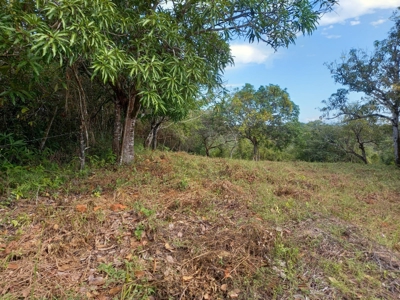 Lot For Sale In El Espino San Carlos Panama - image 17
