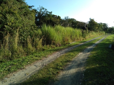 Lot For Sale In El Espino San Carlos Panama - image 10