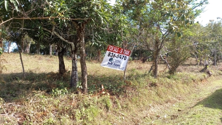 Lot For Sale In El Espino San Carlos Panama - image 16