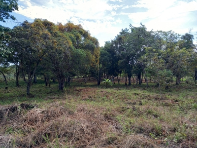 Lot For Sale In El Espino San Carlos Panama - image 21