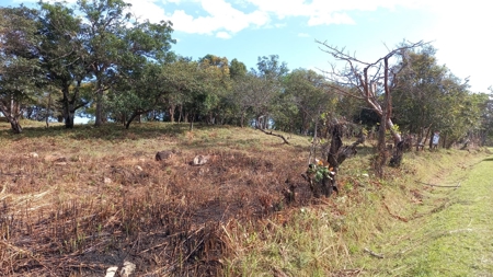 Lot For Sale In El Espino San Carlos Panama - image 15