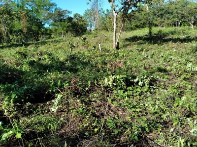 Lot For Sale In El Espino San Carlos Panama - image 11