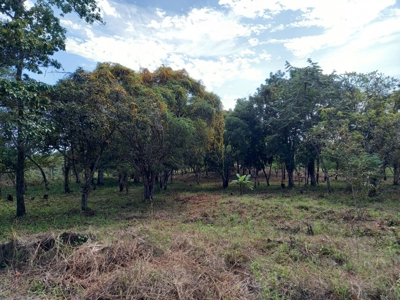 Lot For Sale In El Espino San Carlos Panama - image 19