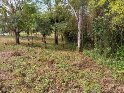 Lot For Sale In El Espino San Carlos Panama - image 18
