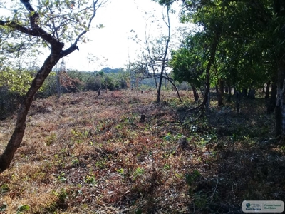 Lot For Sale In El Espino San Carlos Panama - image 3