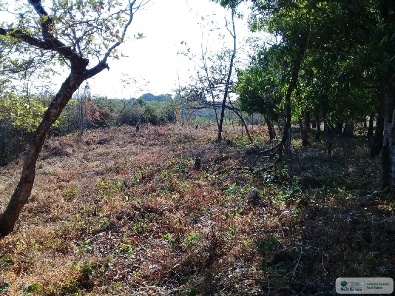 land for sale panama