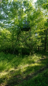 Hunting Land with Cabin and Pole Shed in Wood County WI - image 46