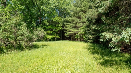 Hunting Land with Cabin and Pole Shed in Wood County WI - image 49