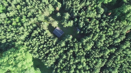 Hunting Land with Cabin and Pole Shed in Wood County WI - image 23