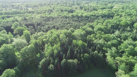 Hunting Land with Cabin and Pole Shed in Wood County WI - image 24