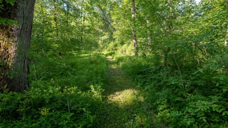 Hunting Land with Cabin and Pole Shed in Wood County WI - image 37