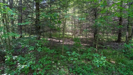 Hunting Land with Cabin and Pole Shed in Wood County WI - image 45