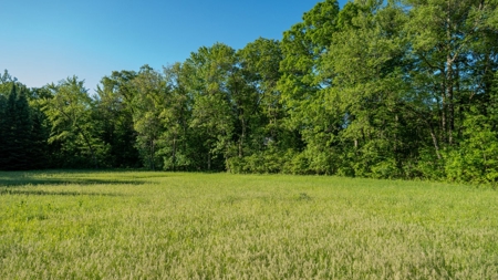 Hunting Land with Cabin and Pole Shed in Wood County WI - image 28