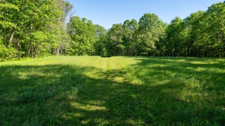 Hunting Land with Cabin and Pole Shed in Wood County WI - image 43