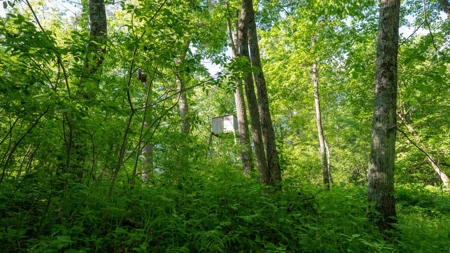 Hunting Land with Cabin and Pole Shed in Wood County WI - image 39