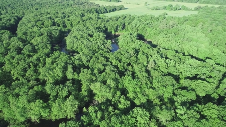 Hunting Land with Cabin and Pole Shed in Wood County WI - image 22
