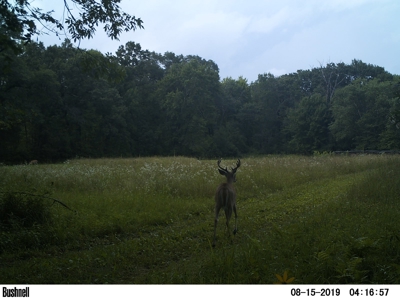 Hunting Land with Cabin and Pole Shed in Wood County WI - image 20