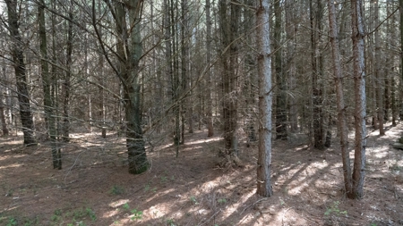 Hunting Land with Cabin and Pole Shed in Wood County WI - image 50