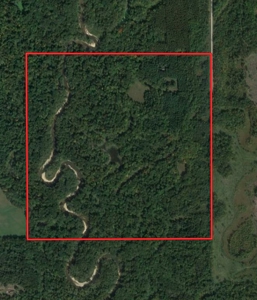 Hunting Land with Cabin and Pole Shed in Wood County WI - image 12