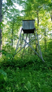 Hunting Land with Cabin and Pole Shed in Wood County WI - image 32
