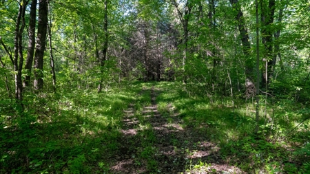 Hunting Land with Cabin and Pole Shed in Wood County WI - image 40