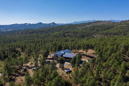 Colorado Mountain Luxury Home for Sale on Acreage - image 39