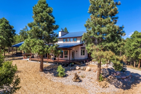 Colorado Mountain Luxury Home for Sale on Acreage - image 40