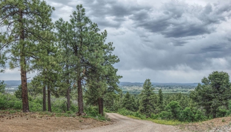 Colorado Mountain Luxury Home for Sale on Acreage - image 25