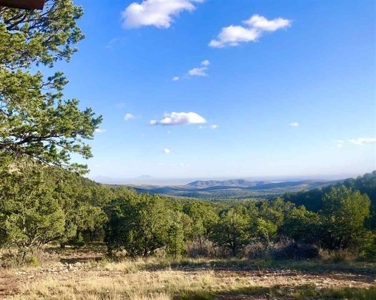 Hunting Cabin For Sale New Mexico - image 3