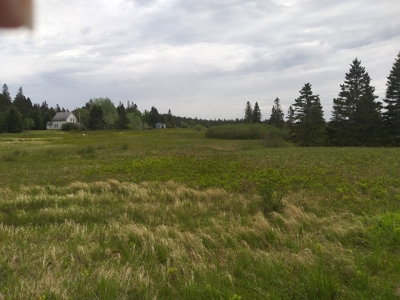 Oceanfront Land For Sale in Trescott, Maine - image 3