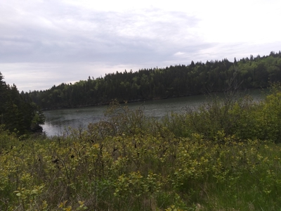Oceanfront Land For Sale in Trescott, Maine - image 5