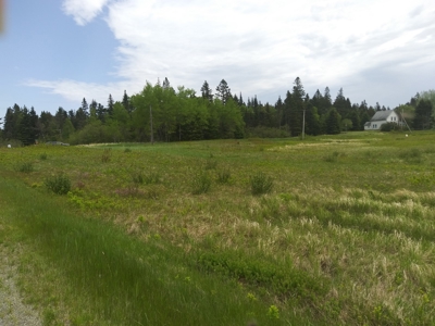 Oceanfront Land For Sale in Trescott, Maine - image 4