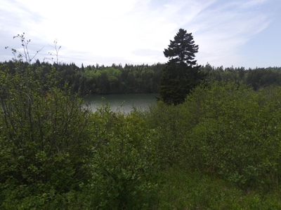Oceanfront Land For Sale in Trescott, Maine - image 7