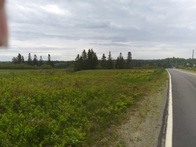 Oceanfront Land For Sale in Trescott, Maine - image 2