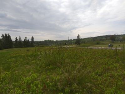Oceanfront Land For Sale in Trescott, Maine - image 1
